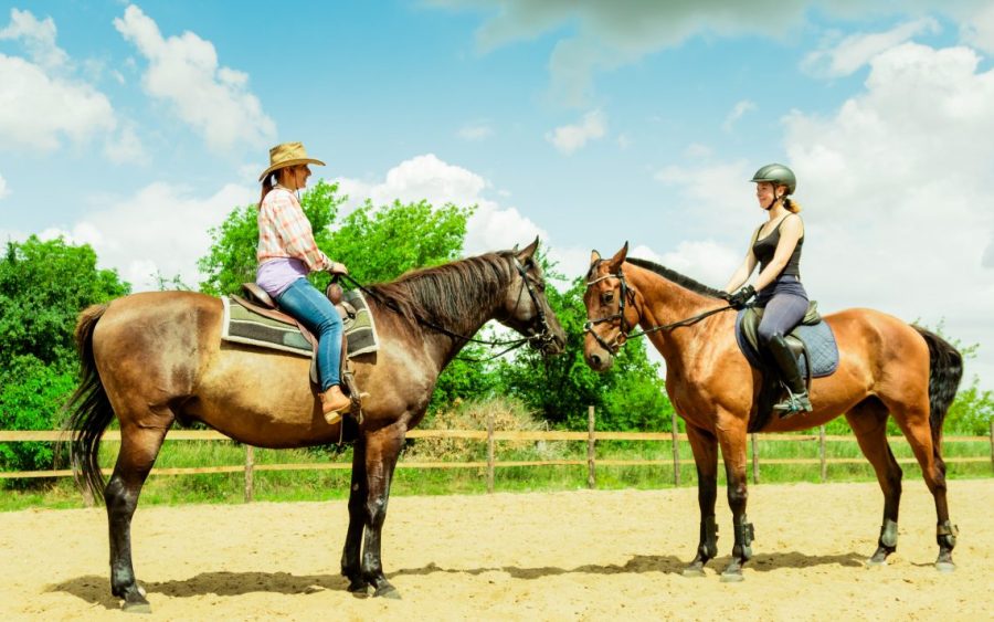 English vs. Western Riding - Which is the Better Style?