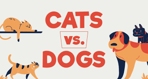 Cats vs. Dogs: Which Does the World Prefer? – Insurance Solved Blog | Budget Direct