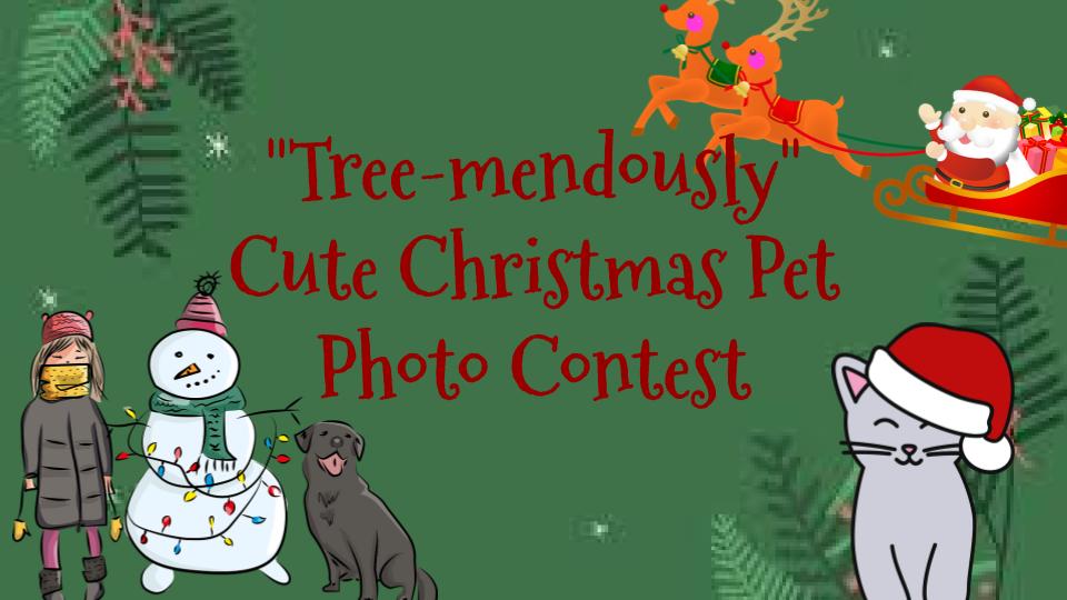 Tree-mendously Cute Christmas Pet Contest
